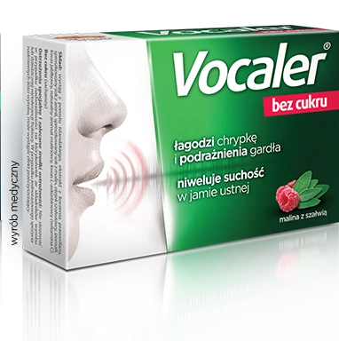 Vocaler Bez Cukru