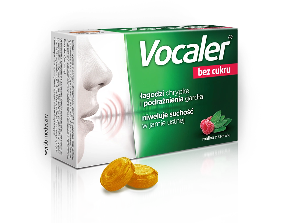 Vocaler Pro